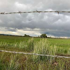 High Desert Pasture