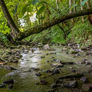 The creek beside our camping spot