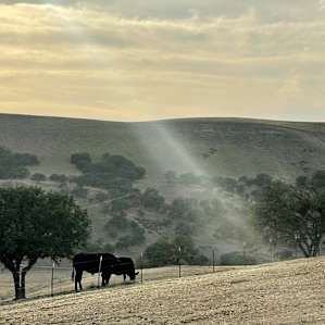 Peaceful country getaway