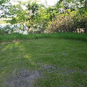 Tent Camping in the Yard