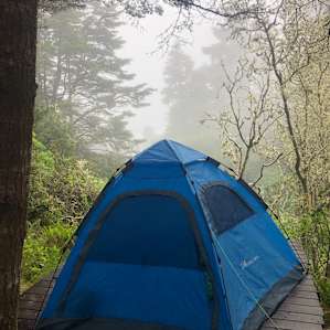 Slug Acres - Ocean view site #2