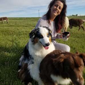 Cloud Peak Llamas and Alpacas ranch