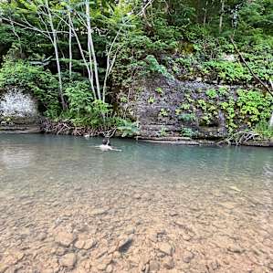 Creekside tent camping!