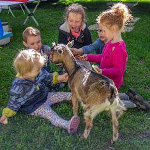 Meeting other children and playing with goats made this a special weekend for the grandkids - and for us!