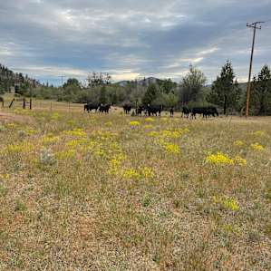 Rock Farm Ranch