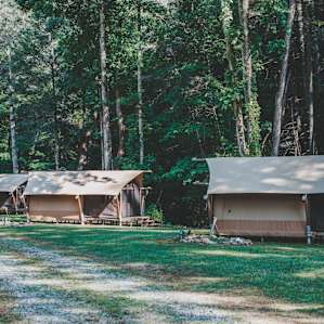 Hanging Dog Glamp Camp