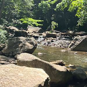 Stream view