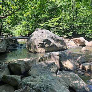Campsite stream side