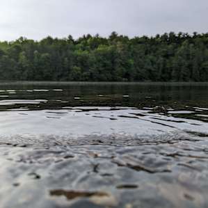 Great views of the lake found near the camp!