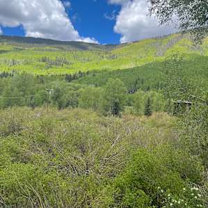 Lazy Rooster Ranch Campground