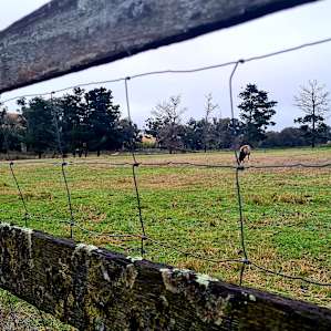 La Paloma Farm - powered
