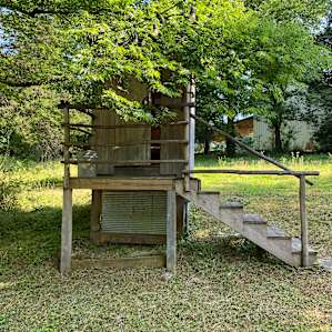 Glamping on the Farm by a Creek!