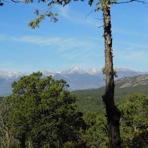 Sunny Forest Camp With Superb Views
