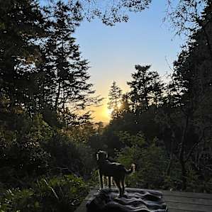Glamping -Ocean view site #3