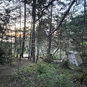 Glamping -Ocean view site #3