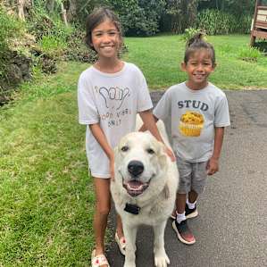 My kids best friend “big white Clifford”
