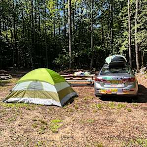 Back right picnic table spot