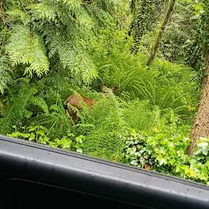 Crystal Springs Group Tent Sites