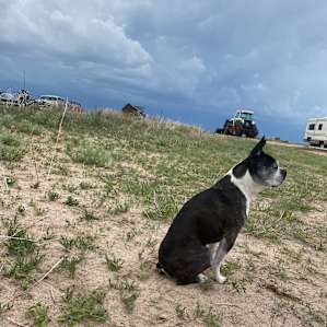 BCC Prairie View Camping Ground