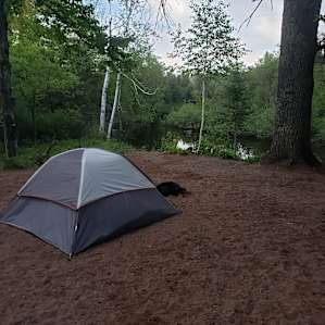 Eagle Pines On The Bad River