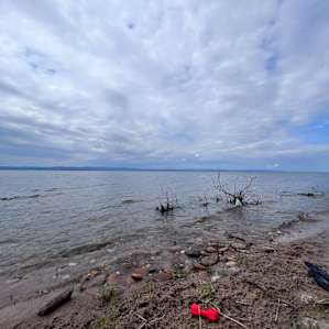 Lake Front Paradise