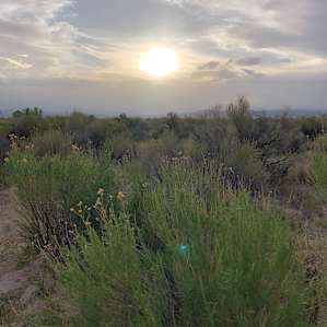 The High Desert Ranch
