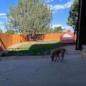 Camp space in our backyard