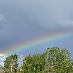 after a nice bit of rain
