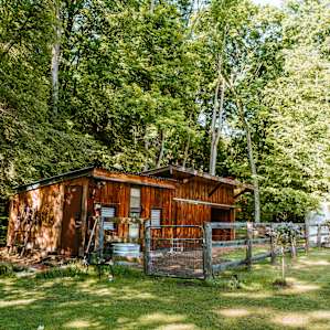 A beautiful mini barn that you may see Roc and Dora while they are frolicking about. Jennifer even allowed us to pet them and gave us tips on their favourite scratch spots!!