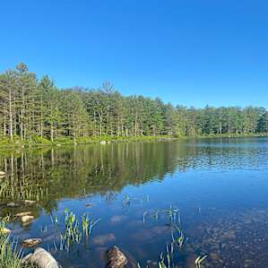 The lake in the morning. Yessssss…