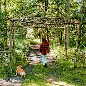 The entry way to the forest trails and glamping tents