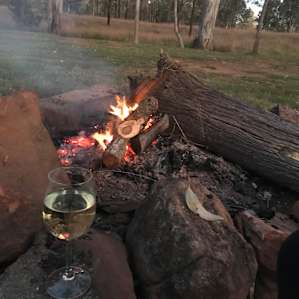 Gums on Billabong