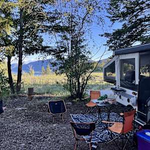 Back Forty Vineyards