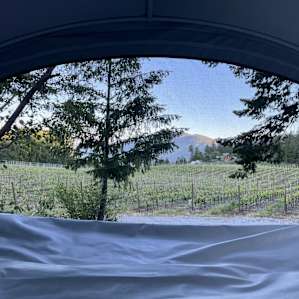 Back Forty Vineyards