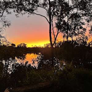 The view from our site
