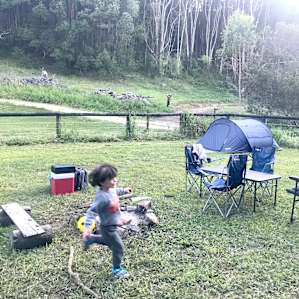 Alpaca Farm Camping