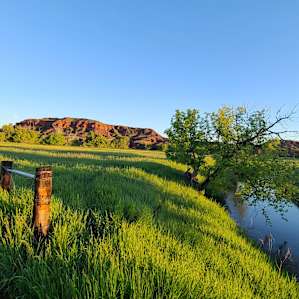 Redwater Revival Campground