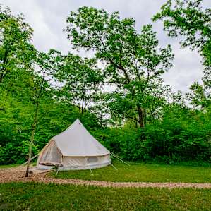 Nice well-made mulch paths throughout the camp
