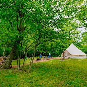 Site situated on a large clearing