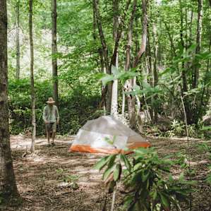 Creek Side Tent site