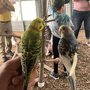 Camp at the Zoo! Infinity Acres