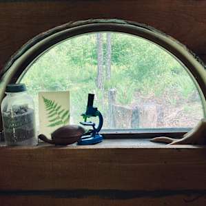 Fisher Cat Creek Forest Retreat
