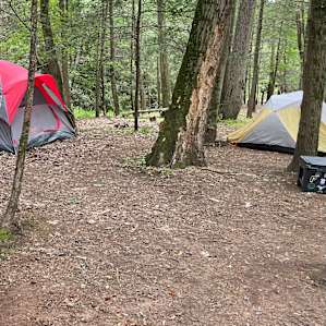 Plenty of space for tents