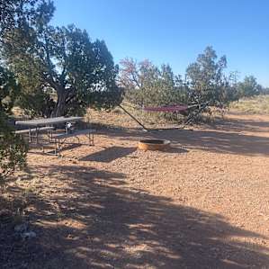 Site 1 had a nice hammock and table.