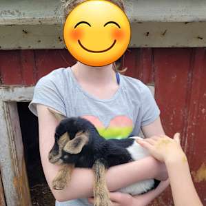 Happy camper with a baby goat.