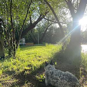 RIVER BEND CAMPGROUND