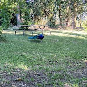 Walden Ranch Camping