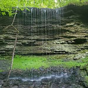 Woods Waterfall Camping