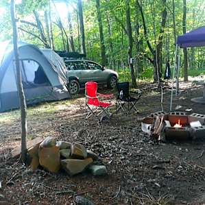 McIntosh Pines