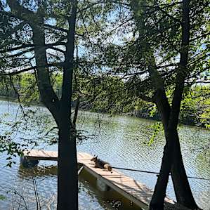 Camp Escape: The Lakefront